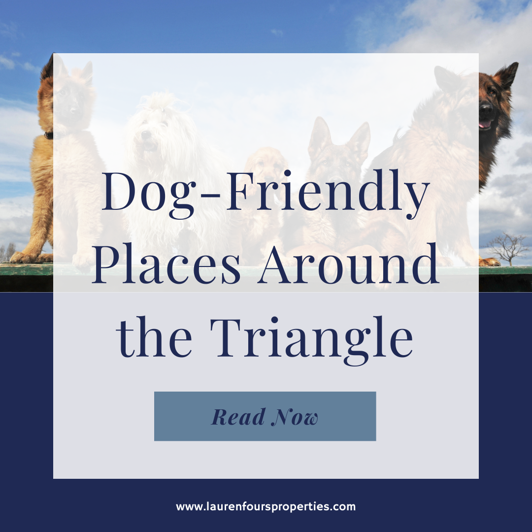 An image with the blog post title, "Dog-Friendly Places Around the Triangle."